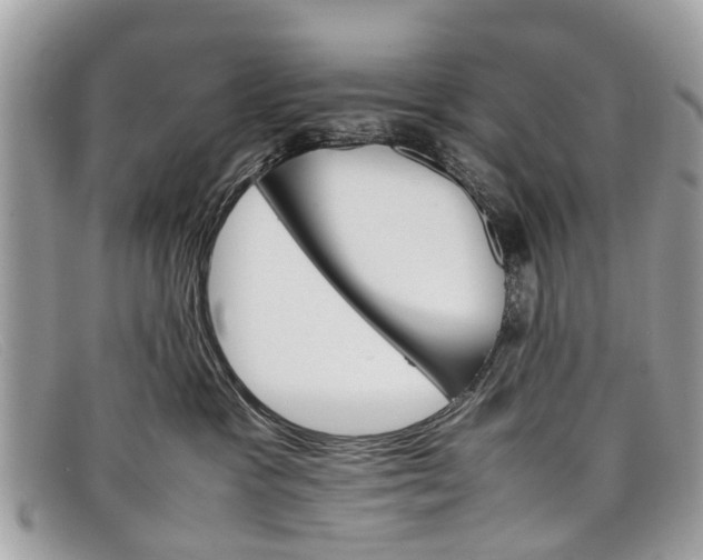 X0000098040333200804111352