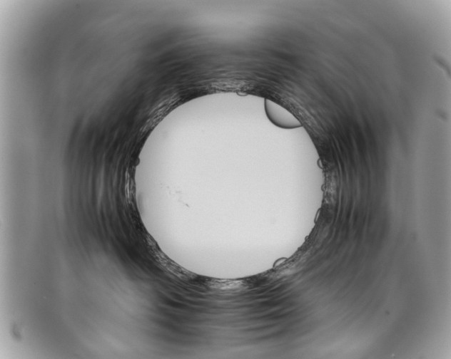 X0000098040334200804111352