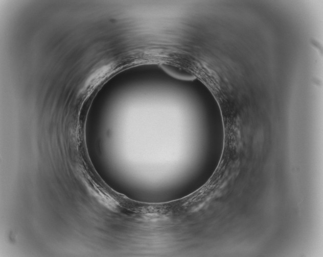 X0000098040338200804111352