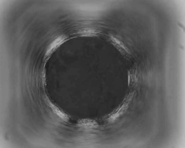 X0000098040339200804111352