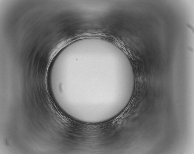 X0000098040340200804111352