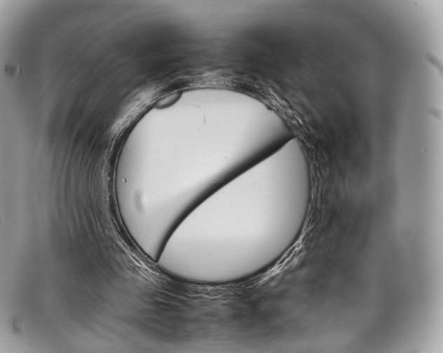 X0000098040341200804111352