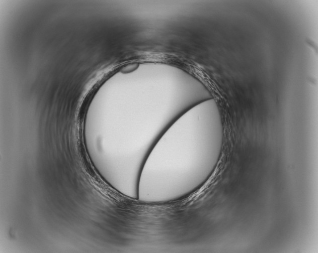 X0000098040342200804111352