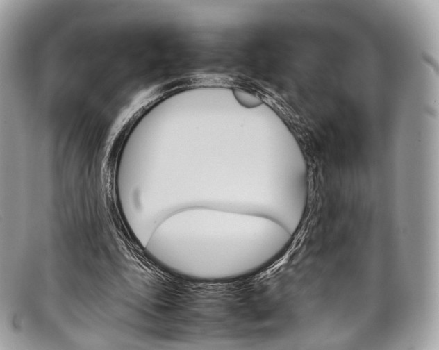 X0000098040343200804111352