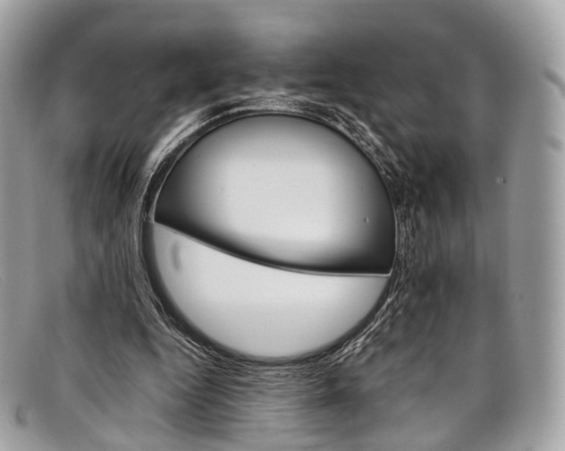 X0000098040344200804111352