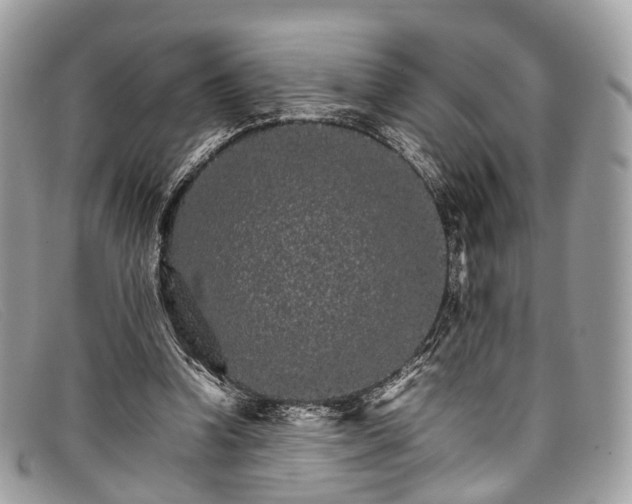 X0000098040346200804111352