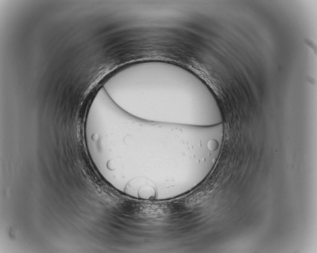 X0000098040347200804111352