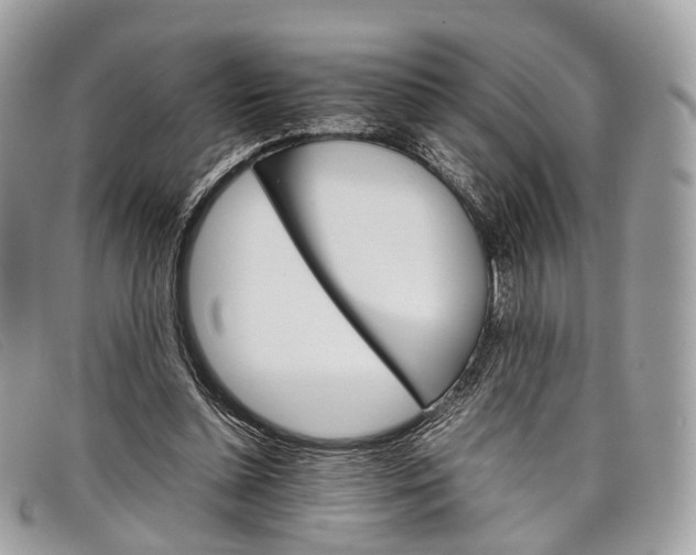 X0000098040348200804111352