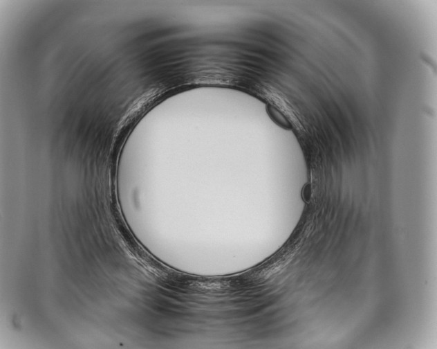 X0000098040349200804111352