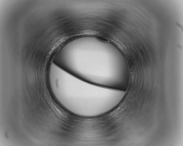 X0000098040350200804111352