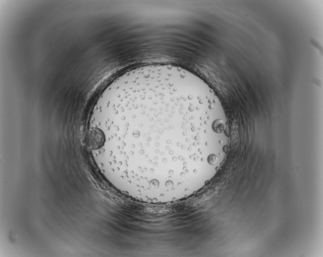 X0000098040351200804111352
