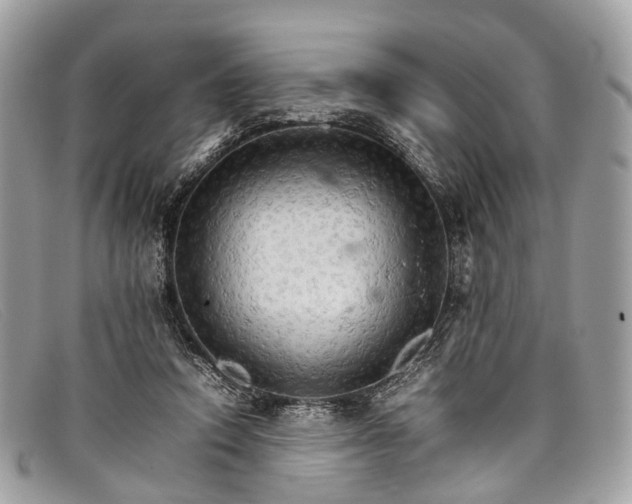 X0000098040354200804111352