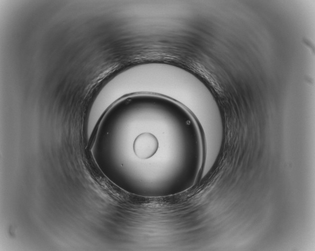 X0000098040356200804111352