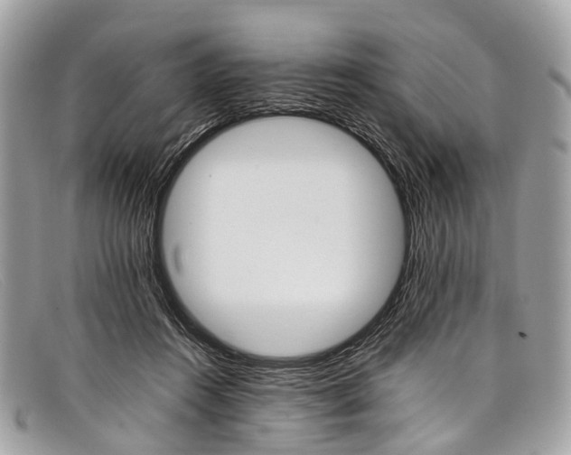 X0000098040360200804111352