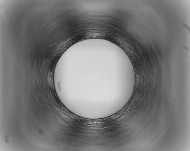 X0000098040361200804111352