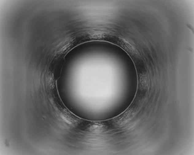 X0000098040364200804111352