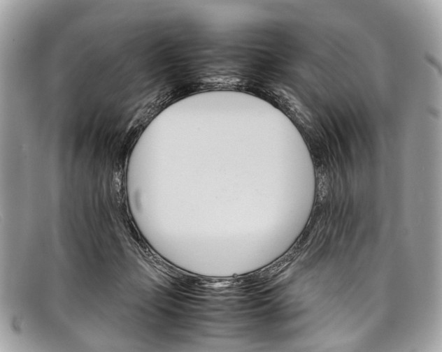 X0000098040365200804111352