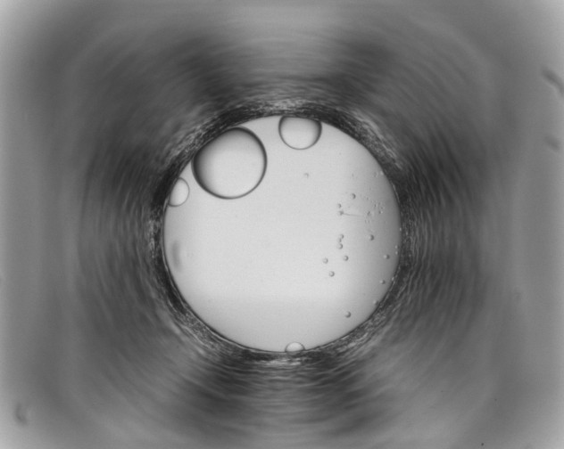 X0000098040366200804111352