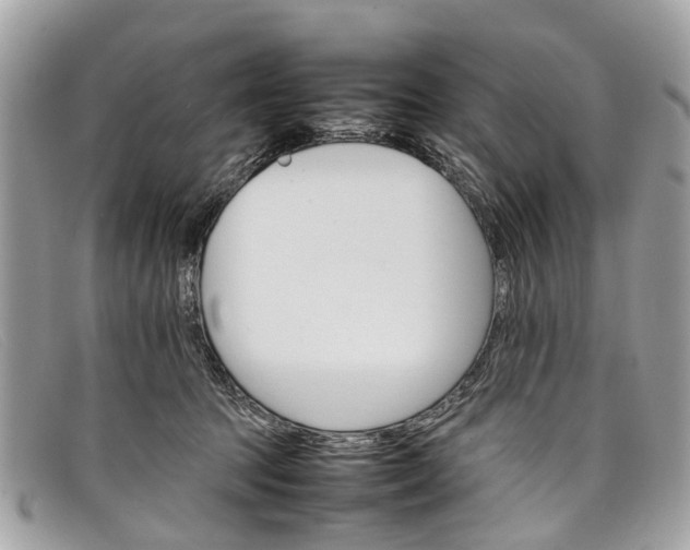 X0000098040369200804111352