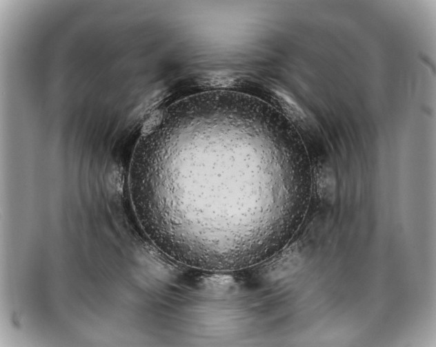X0000098040374200804111352