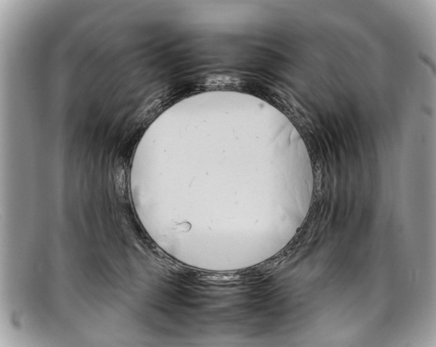 X0000098040375200804111352