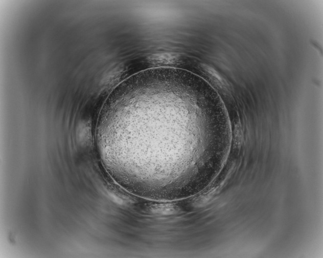 X0000098040377200804111352