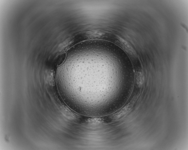 X0000098040378200804111352