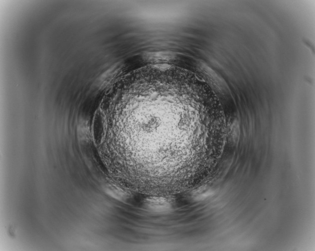 X0000098040381200804111352