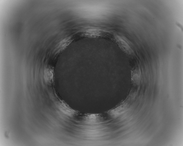 X0000098040382200804111352