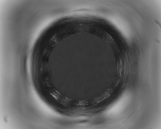 X0000098040383200804111352