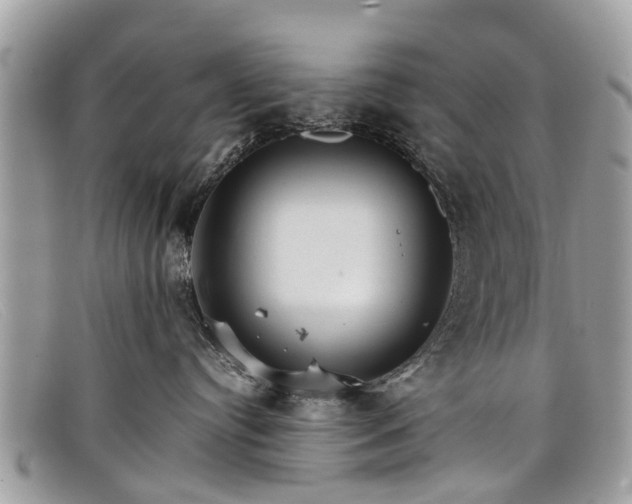 X0000098040384200804111352