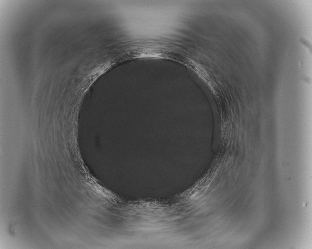 X0000098040385200804111352