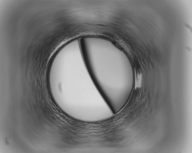 X0000098040387200804111352