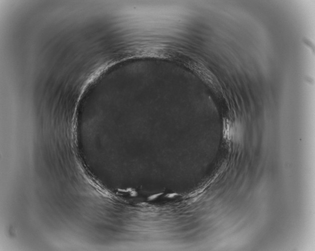 X0000098040388200804111352