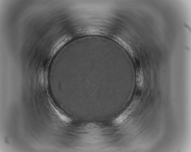 X0000098040390200804111352