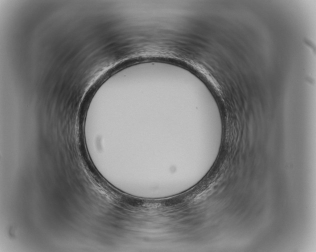 X0000098040391200804111352