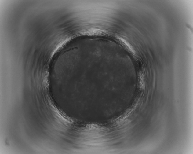 X0000098040392200804111352