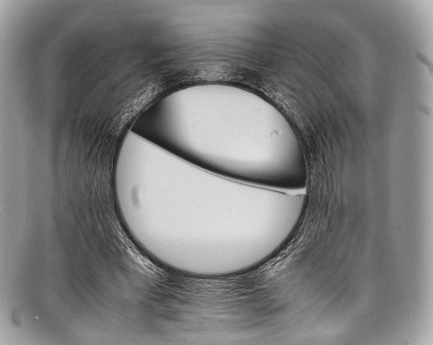 X0000098040393200804111352