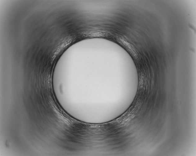 X0000098040394200804111352
