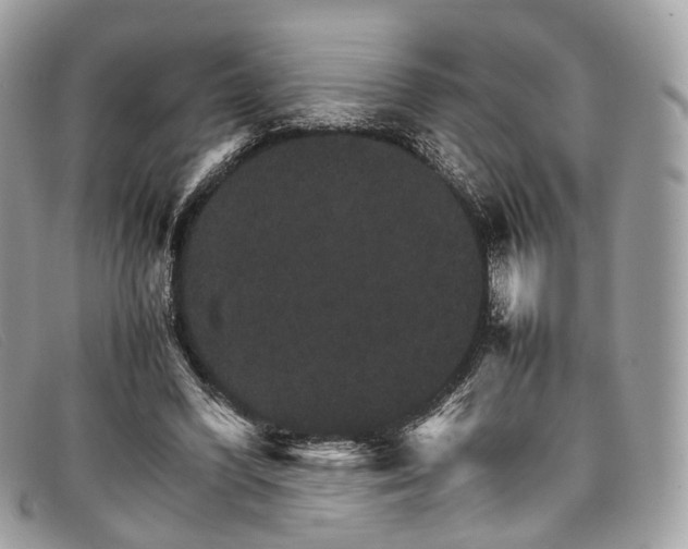 X0000098040396200804111352