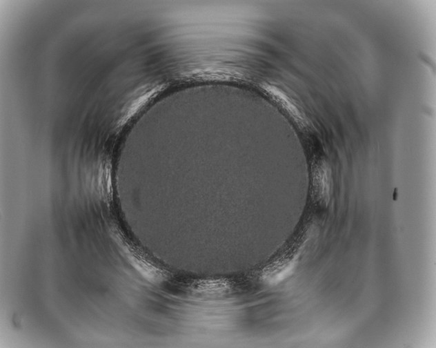 X0000098040398200804111352