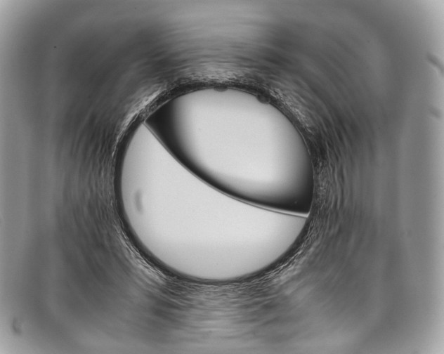 X0000098040399200804111352