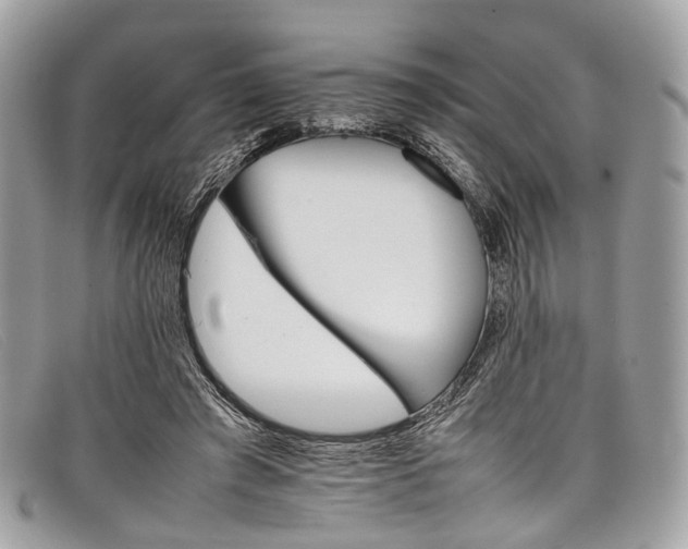 X0000098040401200804111351