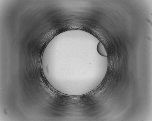 X0000098040402200804111351