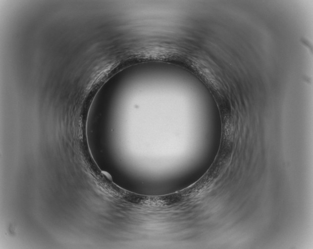 X0000098040403200804111351