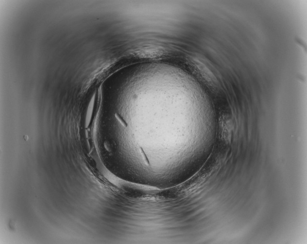 X0000098040404200804111351