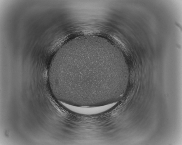 X0000098040405200804111351