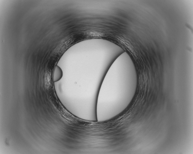 X0000098040406200804111351