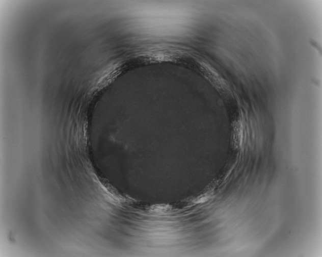 X0000098040410200804111351