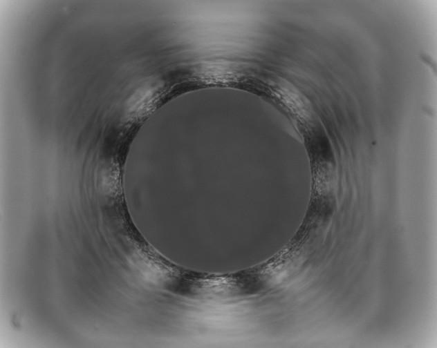 X0000098040411200804111351